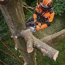 STIHL's Most Powerful Cordless Chainsaw